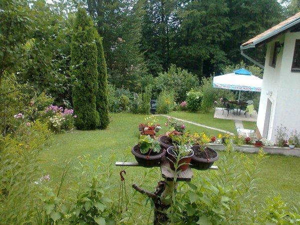 Ab Apartments Zlatibor Dış mekan fotoğraf