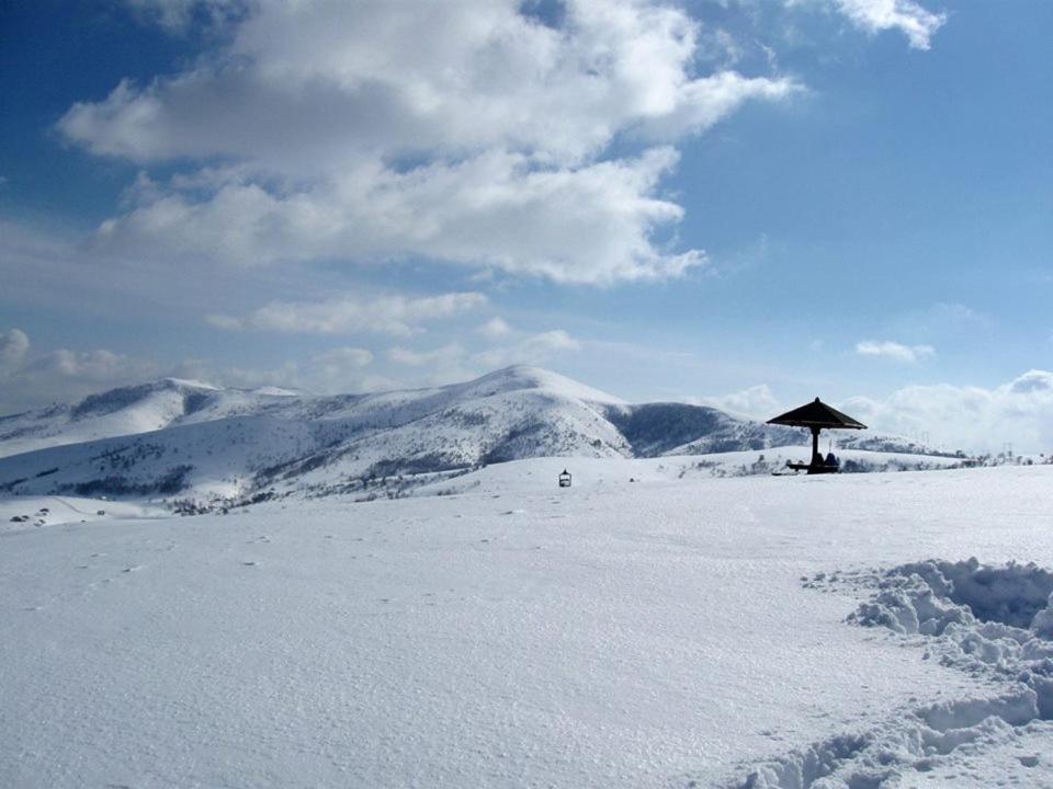 Ab Apartments Zlatibor Dış mekan fotoğraf
