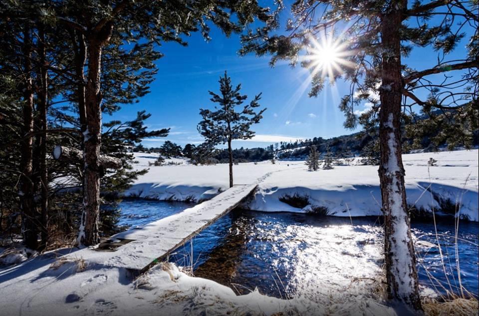Ab Apartments Zlatibor Dış mekan fotoğraf